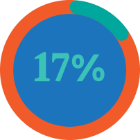 Pie graph representing 17%