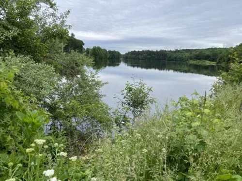 Image of lake surrounded by greenery; cloudy sky.