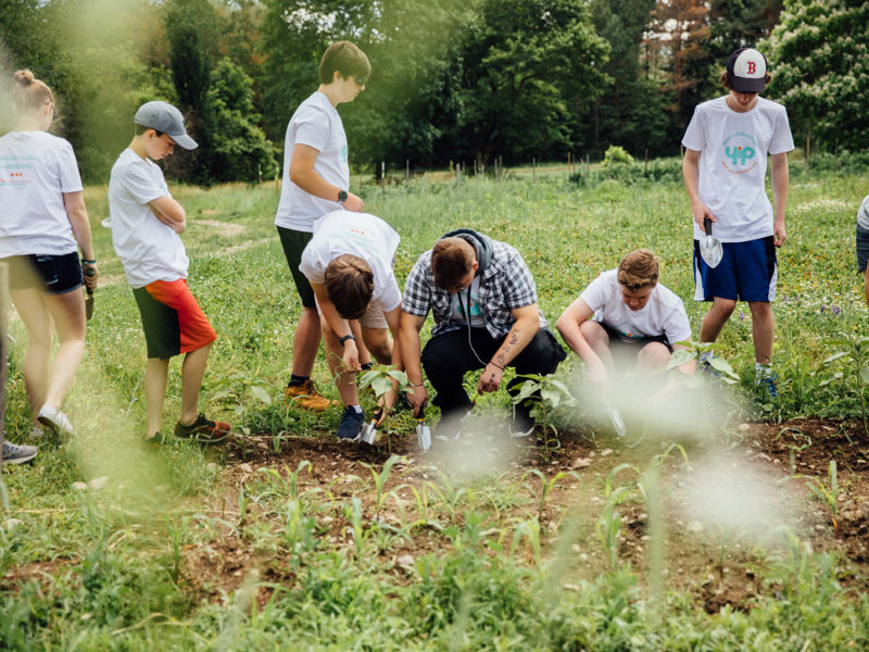 Group of teenagers in green field with trees in the background. Walking and kneeling in a garden.