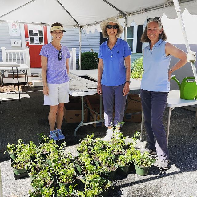 Three smiling women stand outside under a tent, with green potted plants on the ground at their feet.